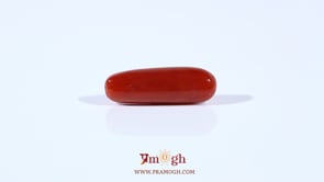 Red Coral - 4.25 Carat