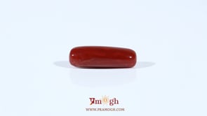 Red Coral - 4.37 Carat