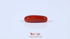 Red Coral - 4.37 Carat