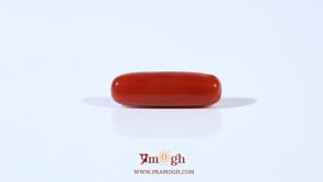Red Coral - 4.5 Carat