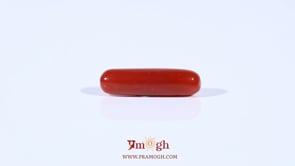 Red Coral - 3.7 Carat