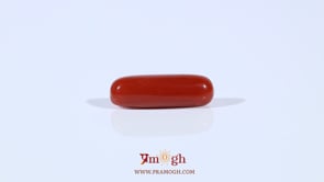 Red Coral - 3.67 Carat