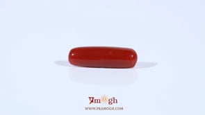 Red Coral - 3.8 Carat