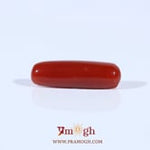 Red Coral - 3.8 Carat