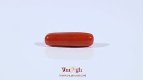 Red Coral - 3.95 Carat