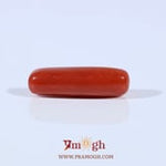 Red Coral - 3.95 Carat