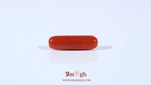 Red Coral - 3.3 Carat