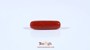 Red Coral - 3.6 Carat