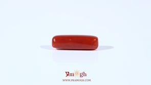 Red Coral - 3.65 Carat