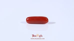 Red Coral - 3.6 Carat