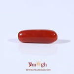 Red Coral - 3.6 Carat