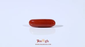 Red Coral - 3.6 Carat