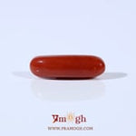 Red Coral - 3.6 Carat