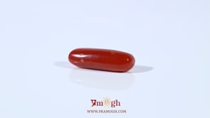 Red Coral - 3.9 Carat