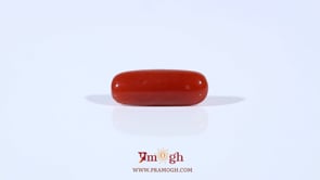 Red Coral - 3.4 Carat