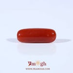 Red Coral - 3.4 Carat