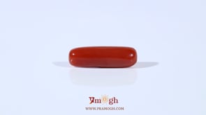 Red Coral - 3.8 Carat