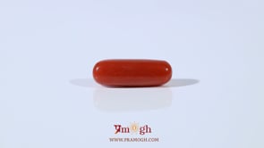 Red Coral - 3.65 Carat