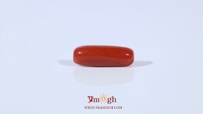 Red Coral - 3.63 Carat