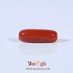 Red Coral - 3.63 Carat