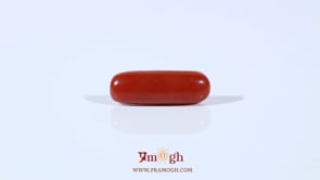 Red Coral - 3.6 Carat