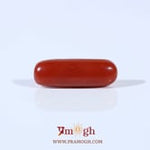 Red Coral - 3.6 Carat