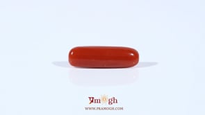 Red Coral - 3.65 Carat