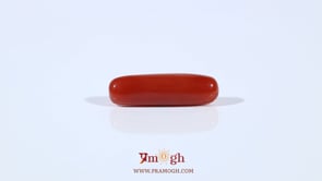 Red Coral - 3.8 Carat