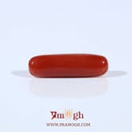 Red Coral - 3.8 Carat
