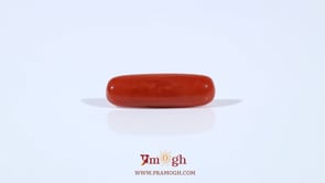Red Coral - 2.8 Carat