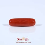 Red Coral - 2.8 Carat
