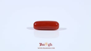 Red Coral - 3.3 Carat