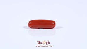 Red Coral - 3.67 Carat