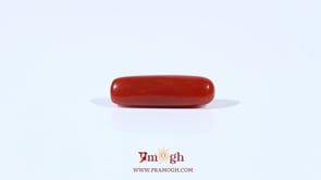Red Coral - 3.47 Carat