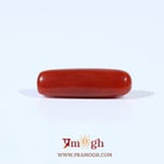 Red Coral - 3.47 Carat