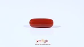 Red Coral - 3.08 Carat