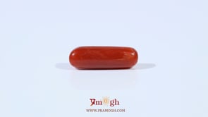 Red Coral - 4.52 Carat