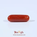Red Coral - 4.52 Carat