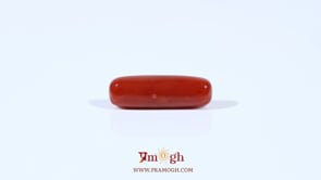 Red Coral - 3.65 Carat