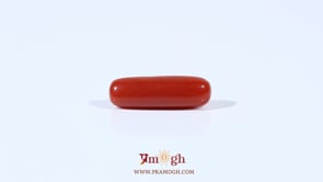 Red Coral - 3.4 Carat