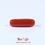 Red Coral - 3.4 Carat