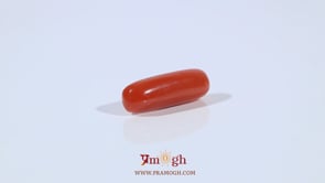 Red Coral - 3.6 Carat