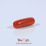 Red Coral - 3.6 Carat