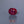 Load and play video in Gallery viewer, Ruby - 10.05 Carat
