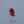 Load and play video in Gallery viewer, Ruby - 5.4 Carat
