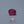 Load and play video in Gallery viewer, Ruby - 6.15 Carat
