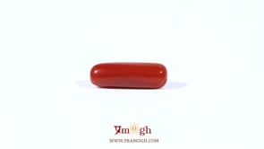 Red Coral - 3.38 Carat