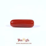 Red Coral - 3.38 Carat