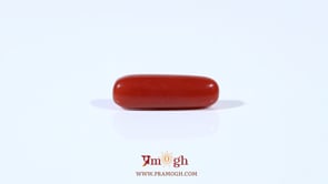 Red Coral - 3.7 Carat