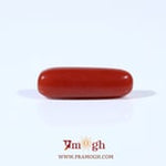 Red Coral - 3.7 Carat